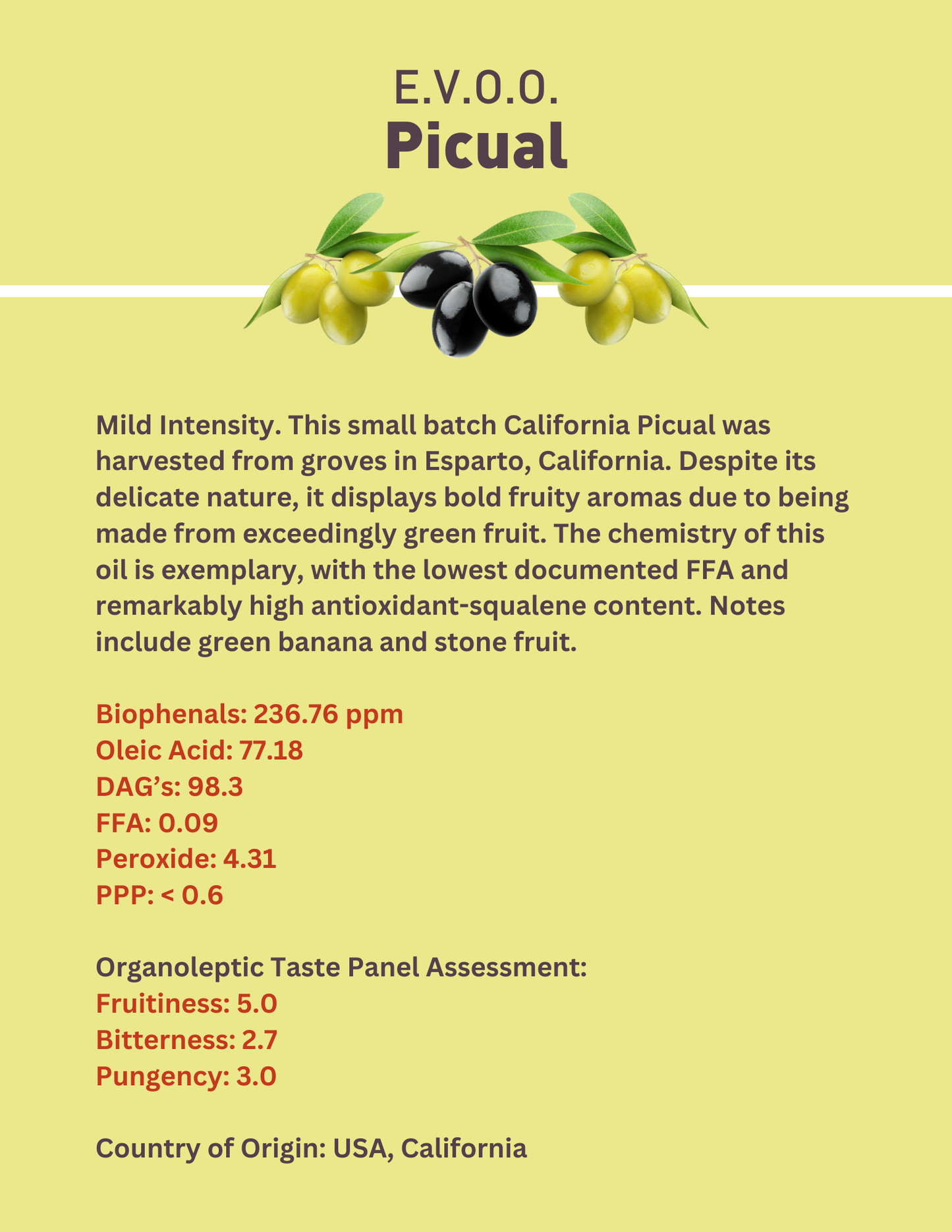 Picual Ultra Premium Extra Virgin Olive Oil