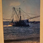 Photo Cards - Donna Macpherson